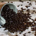 Hvad er forskellen på en vådstøvsuger og en almindelig støvsuger?